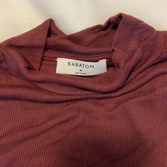 Aritzia babaton maroon tee - Picture 2 of 3